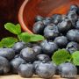 Come fare la grappa ai mirtilli in casa