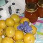 Marmellata di susine con il Bimby