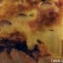 Quiche con wurstel patate e mozzarella