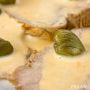 Vitello tonnato, una delizia per l'estate